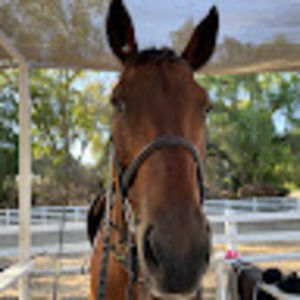 Meet your Posher, Tessa